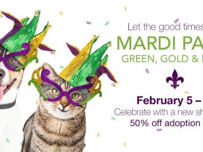 Click to view Mardi Paws Half-Price Pet Adoption Special