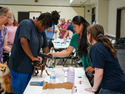 Click to view Huntsville Animal Services safety event served over 300 pets and families