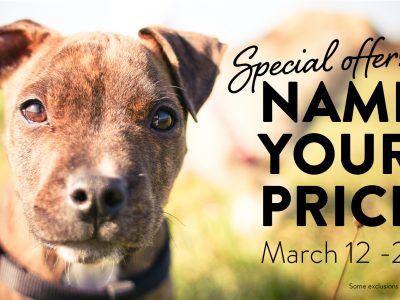 Click to view Name Your Price Pet Adoptions – Help Empty the Shelter!