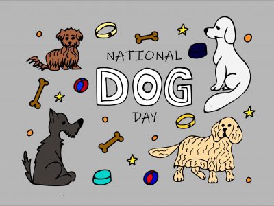 Click to view It’s National Dog Day! Huntsville celebrates ‘pawsome’ holiday by slashing adoption fees