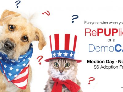 Click to view RePUPlican or DemoCAT: Adopt A Shelter Pet and Everyone Wins!