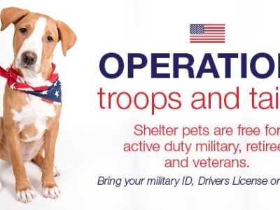 Click to view Operation Troops & Tails Pet Adoption Kickoff – Armed Forces Week