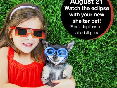 Click to view Perfect Alignment Pet Adoption Special – Celebrate Monday’s Solar Eclipse by finding your new best friend