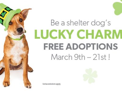 Click to view Be a Shelter Pet’s Lucky Charm