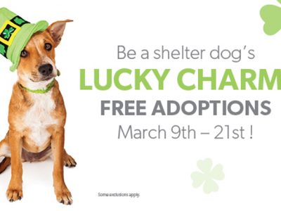 Click to view Be a Shelter Pet’s Lucky Charm