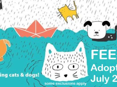 Click to view It’s Raining Cats & Dogs Adoption Special