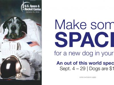 Click to view Make some SPACE for a new Dog in your life