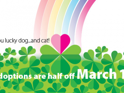 Click to view St. Patrick’s Pet Adoption Special