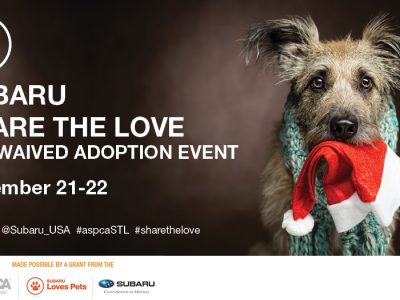Click to view Subaru Share the Love Fee-Waived Pet Adoption Event