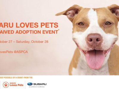 Click to view Subaru Loves Pets Fee-Waived Adoptions on Oct. 27-28