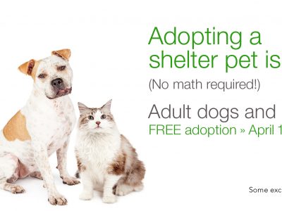 Click to view Adopt a Free Dog or Cat During Tax Week 