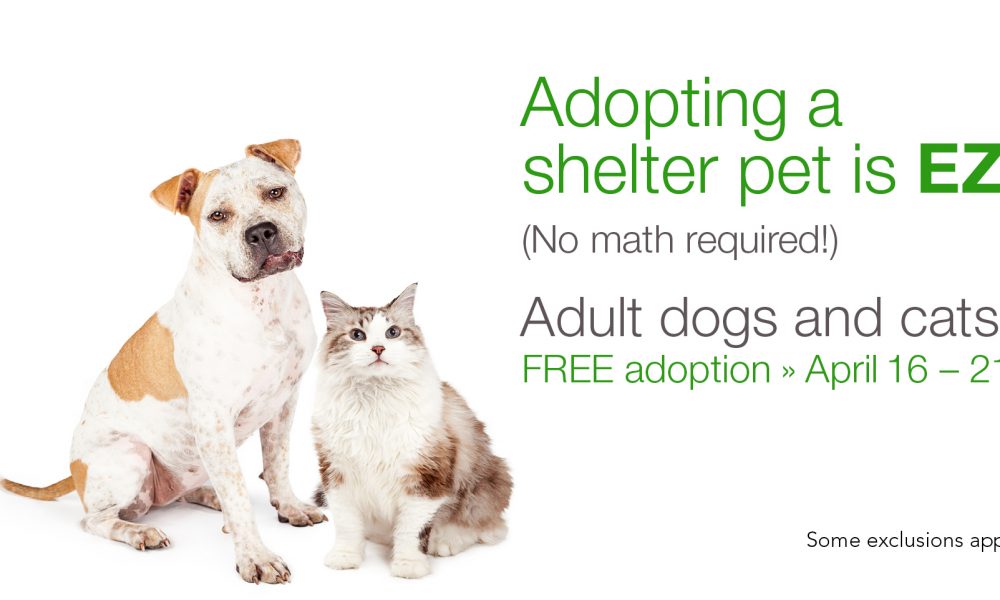 Adopt a Free Dog or Cat During Tax Week