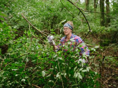 Click to view Wrangle weeds for a greener Huntsville at invasive plant removal event, March 7