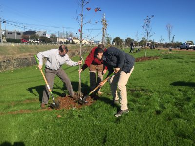 Click to view Going Green in John Hunt Park – Tree Planting Festival Nov. 5