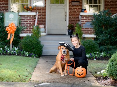 Click to view Find your BOO: Huntsville Animal Services getting festive to help long-time shelter dogs find forever homes