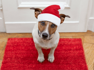 Click to view Holiday Special Fee-Waived Pet Adoptions