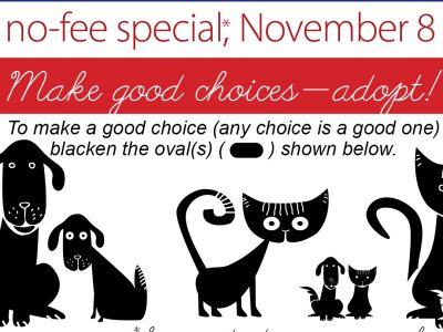 Click to view Choose Wisely on Election Day with Fee-Waived Pet Adoption Special