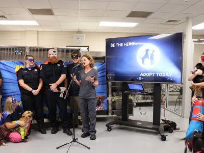 Click to view Huntsville Animal Services extends waived adoption fees, announces superhero event