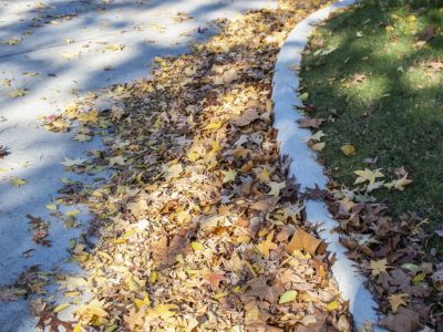 Click to view How to responsibly dispose of leaves, yard waste in Huntsville