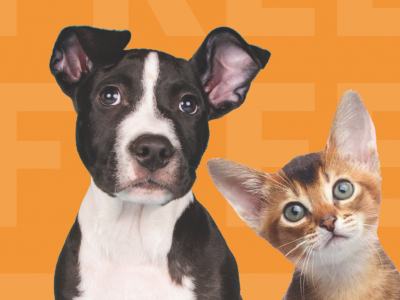 Click to view Huntsville Animal Services waives adoption fees through Aug. 6