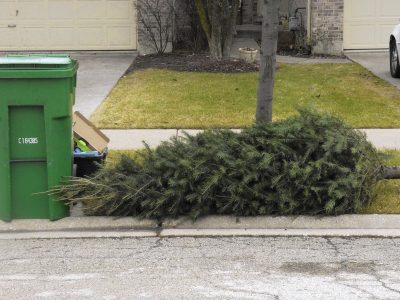 Click to view City of Huntsville Christmas tree and trash disposal tips