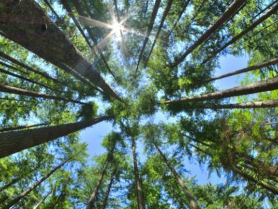 Click to view 4 tips to help maintain air quality in Huntsville
