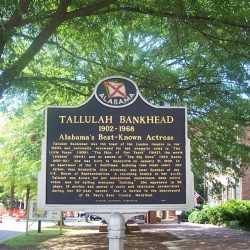 Tallulah Bankhead / I. Schiffman Building - Image 1