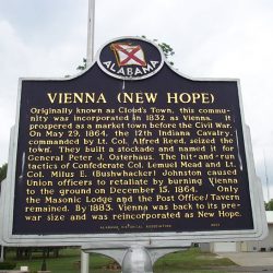 Vienna (New Hope) - Image 1