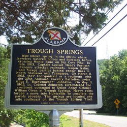 Trough Springs - Image 1