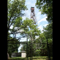 Joe B. Shirley Fire Tower - Image 2