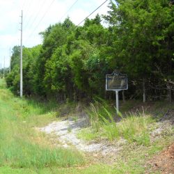 Madison County Poorhouse Farm Site and Cemetery - Image 3