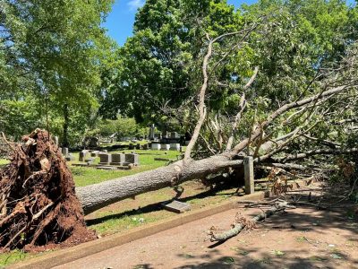 Click to view Cleanup crews remove more than 1 million pounds of debris following storms