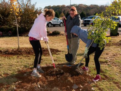 Click to view Mayor’s Tree Planting Day returns Nov. 1