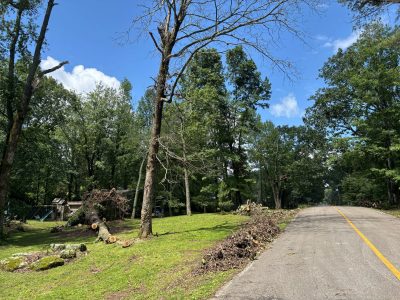 Click to view When severe storms strike and trees fall, the City of Huntsville is on top of it.
