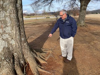 Click to view Unveiling tree service abuses: Insights from Huntsville’s Arborist