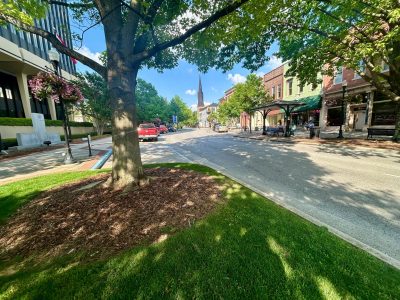 Click to view How to ensure success mulching around your trees