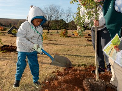 Click to view Put down roots in Huntsville at Mayor’s Tree Planting Day